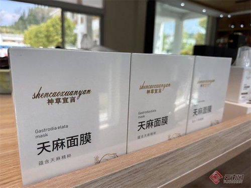 农民变股民 云南彝良宝藏村激活乡村生态资源