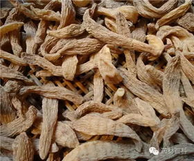 明目的中药 天麻明目还能变聪明