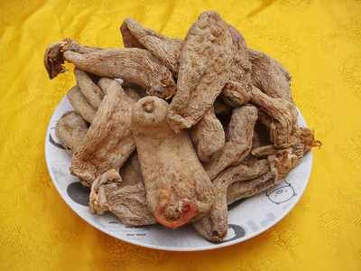 天麻的功效与作用及食用方法 15大功效详解!