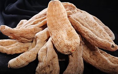 中国天麻