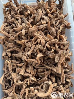 长白山天麻天然特级500g1斤