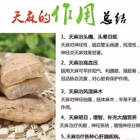 特产新货云南昭通天麻红天麻产地直销批发价包邮促销