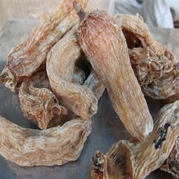 精品云南丽江天麻 红天麻 血天麻 库存1000公斤可售 不含硫磺