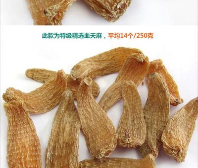 血天麻与天麻区别