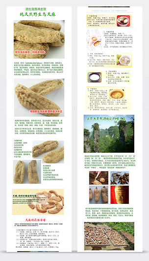 淘宝乌天麻详情页宝贝描述模板psd分层素材下载-编号11633906-淘宝详情页