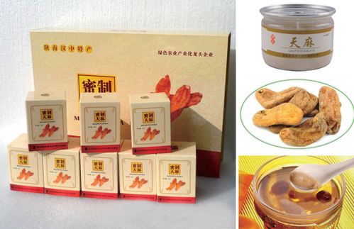 项目内容 燕...宁强县天麻食药产品开发项目 宁强县人民政府
