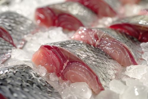 生物食品美食鱼片图片摄影图 广告素材 下载至来源处