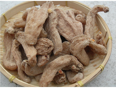 天麻炖乳鸽作用深山*正宗天麻