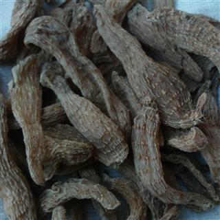 天麻之乡 河南省南阳市西峡县的优质天麻