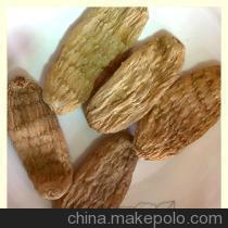 天麻品种及其花朵特征