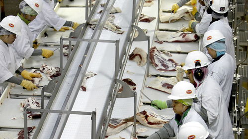 美国肉类工厂疫情危机 570人集体感染新冠，疫情期间被迫开工的背后