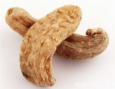 丽江天麻 雪山脚下的滋补瑰宝