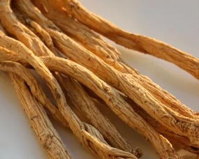 即墨古城年味浓 赶年集购陇南天麻，赏白马人歌舞迎新春